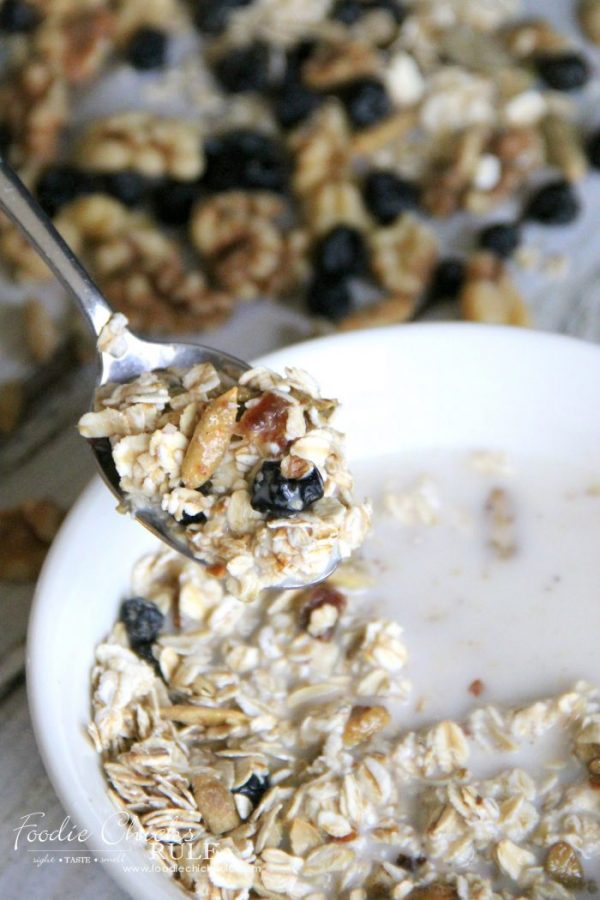 Best Muesli Recipe (and easiest too!) Foodie Chicks Rule
