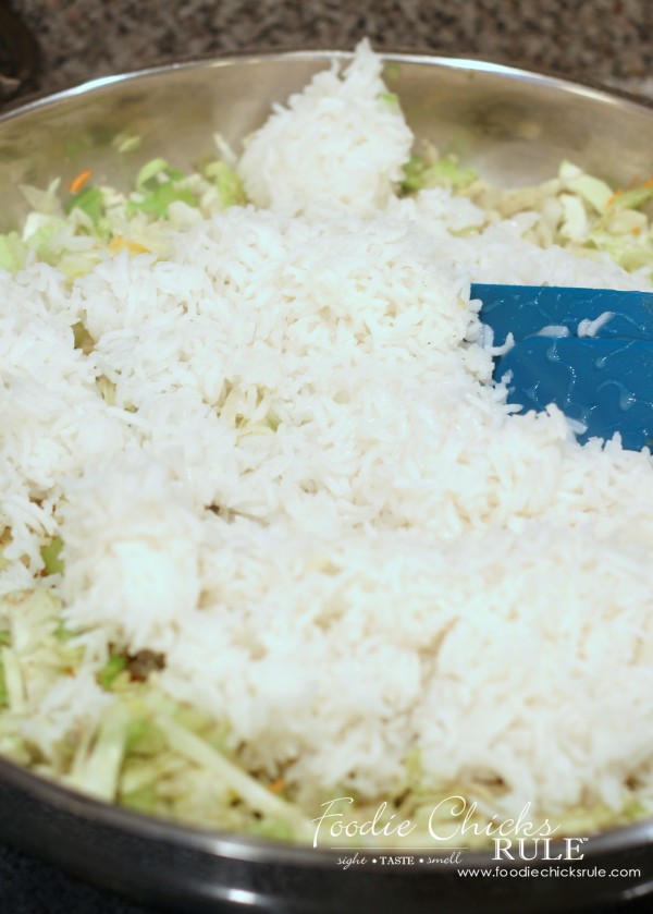 Cabbage, Rice and Chicken - Add Rice -  #cabbagerice #cabbagerecipe foodiechicksrule.com