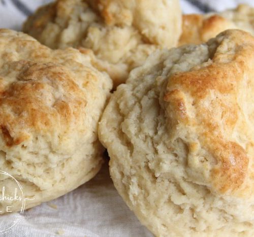 Flaky Buttermilk Biscuits - The Cookin Chicks