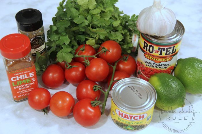 Best Homemade Salsa!! So fresh and SO easy to make! foodiechicksrule.com #mexicanfood #homemadesalsa #bestsalsarecipe #mexicanrecipes