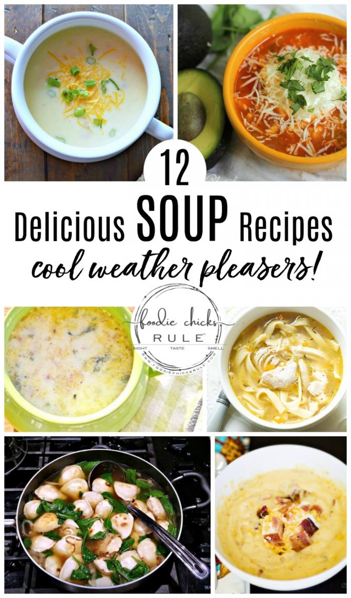 12 DELICIOUS SOUP RECIPES - you will love!! foodiechicksrule.com #souprecipes #stew #chowder #chili #tacosoup #potatosoup #soupideas #chickensoup #ricesoup