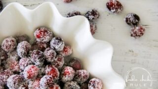 3 Ways to Use Cranberries in Your Christmas Decor - Tonality Designs